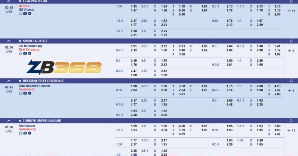 Kèo Châu Á Là Gì? Hướng Dẫn Đọc Kèo Chấp Từ A-Z Cho Người Mới